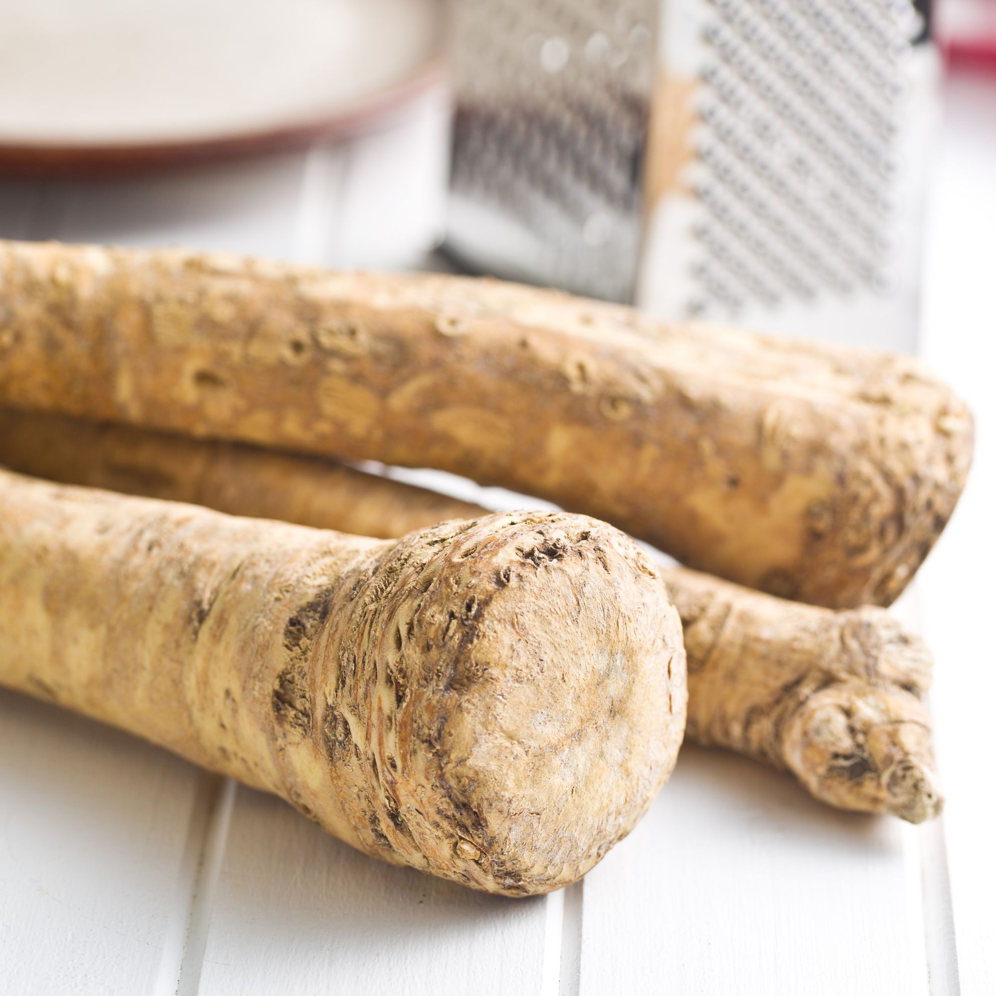 Horseradish Root Starts - 2 Roots - Armoracia rusticana - Non-GMO, Perennial Heirloom Horse Radish Root Sets for Spring Planting